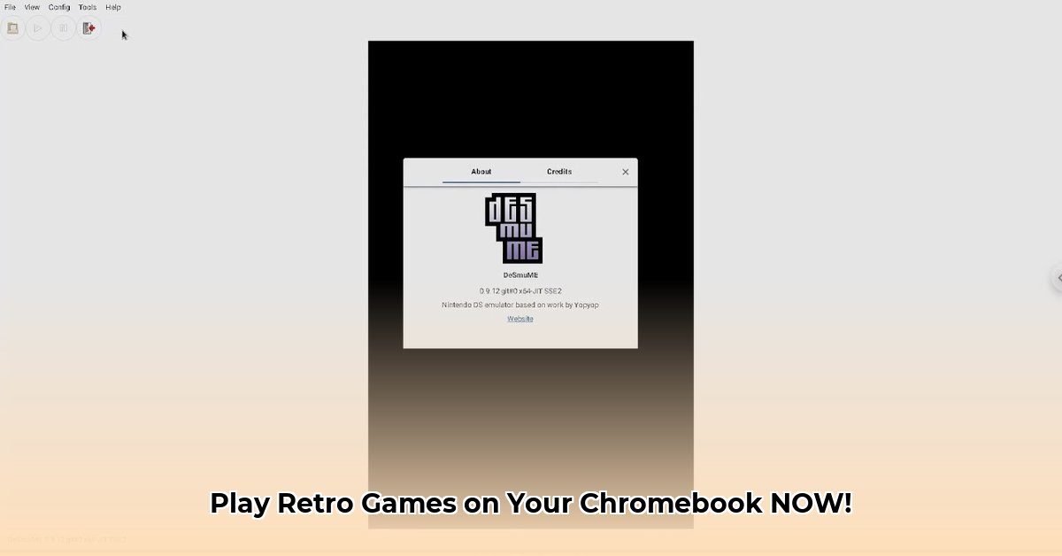 desmume-on-chromebook